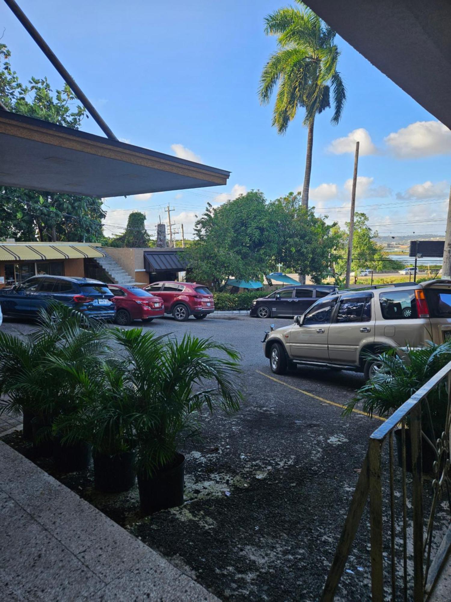 Palm Bay Guest House & Restaurant Montego Bay Exterior foto